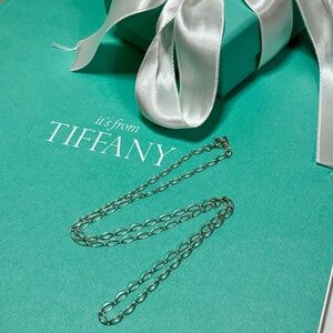Authentic Tiffany & Co Oval Link Necklace 16”